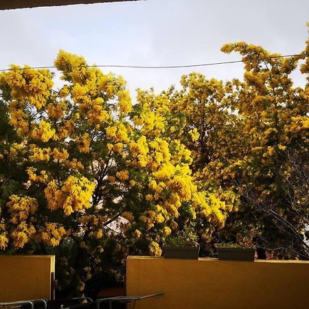 Appartement Proche Mer Avec Terrasse Et Jardin Privatif Hyères Zewnętrze zdjęcie