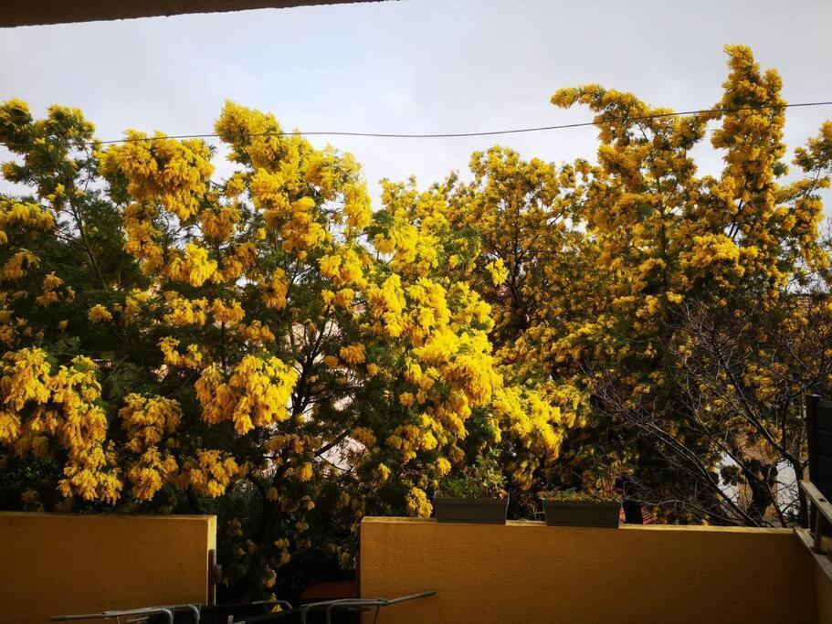 Appartement Proche Mer Avec Terrasse Et Jardin Privatif Hyères Zewnętrze zdjęcie