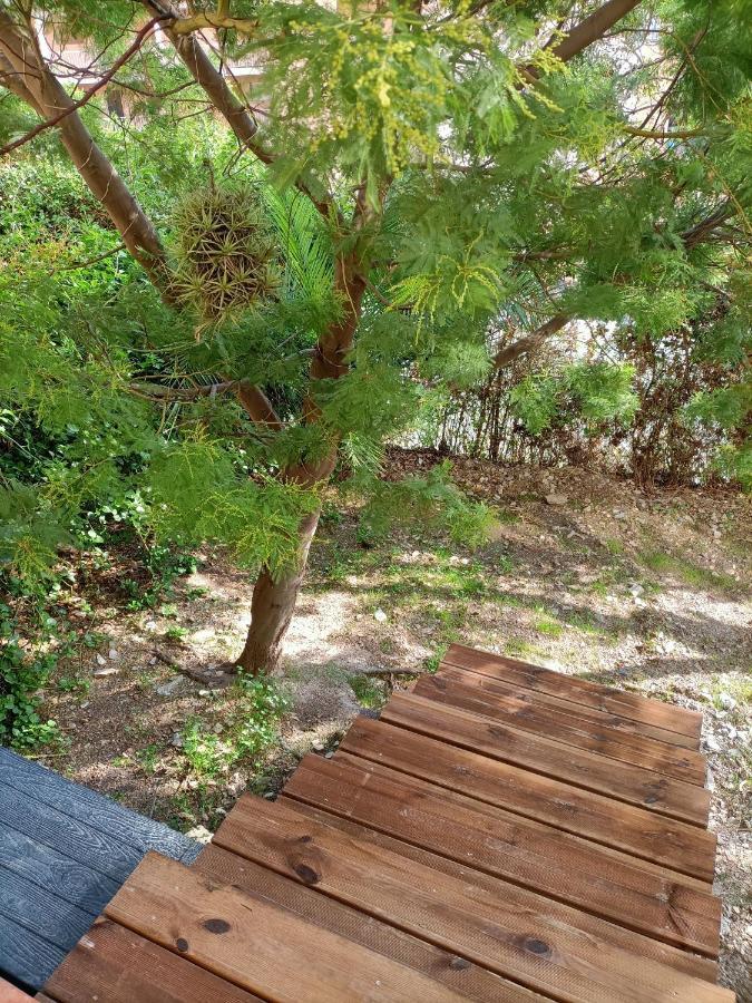 Appartement Proche Mer Avec Terrasse Et Jardin Privatif Hyères Zewnętrze zdjęcie